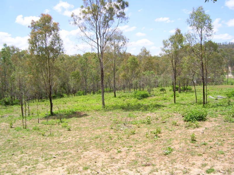 35 Racecourse Road, Mount Morgan QLD 4714