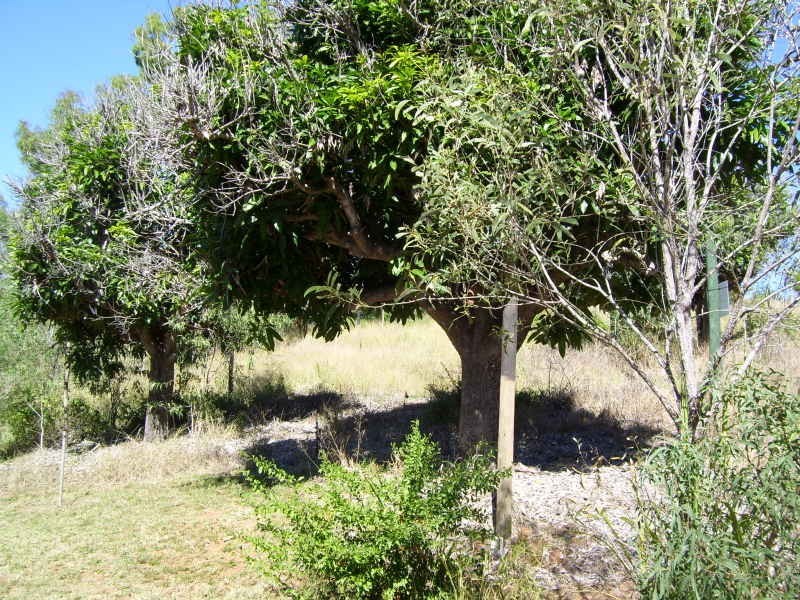 1 Old Rifle Range Road, Mount Morgan QLD 4714