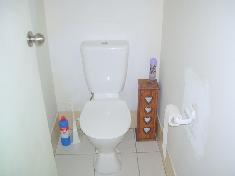 253 Mount Usher Road, Bouldercombe QLD 4702