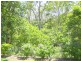 253 Mount Usher Road, Bouldercombe QLD 4702