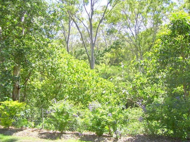 253 Mount Usher Road, Bouldercombe QLD 4702