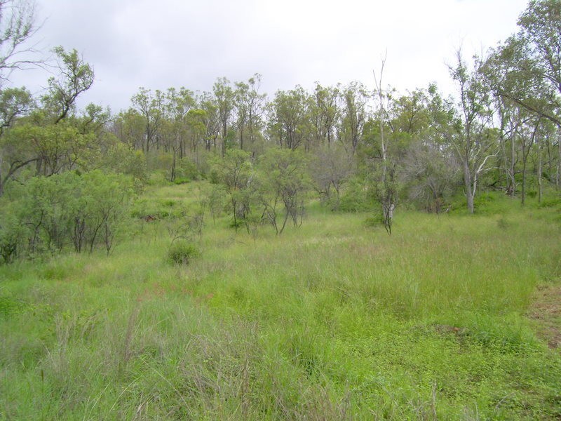 537 Boulder Creek Road, Boulder Creek QLD 4714