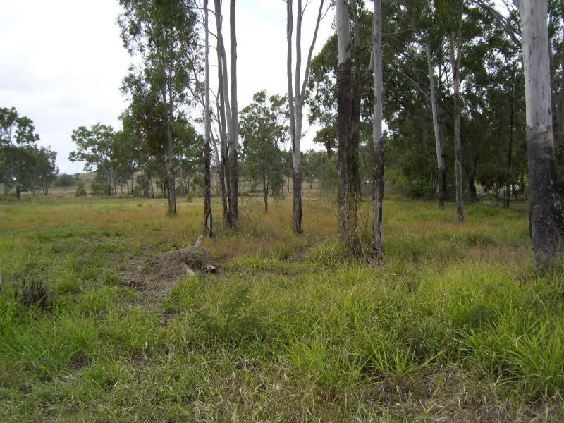 Morgan Street, Kabra QLD 4702