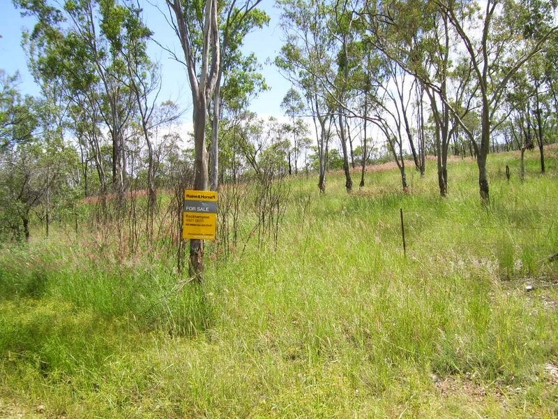 17  Randwick Lane, Boulder Creek QLD 4714