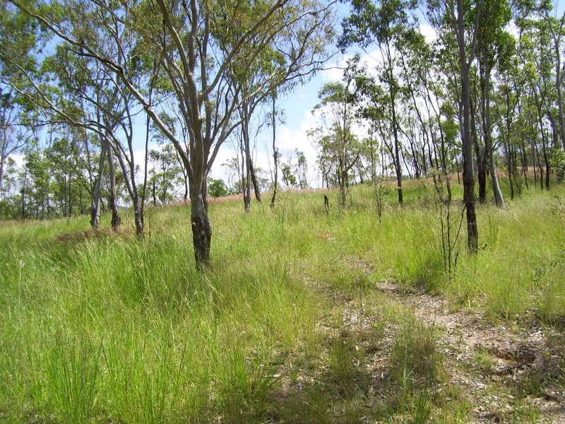 17  Randwick Lane, Boulder Creek QLD 4714