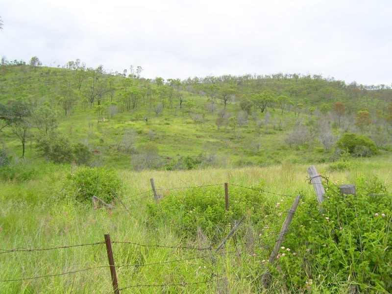 17  Randwick Lane, Boulder Creek QLD 4714