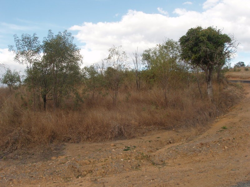 9 Edward Street, Mount Morgan QLD 4714