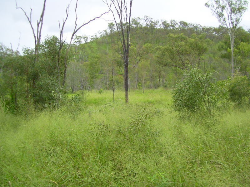 49860 Burnett Highway, Mount Morgan QLD 4714