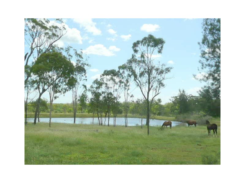 98 Black Gin Ck Rd, Alton Downs QLD 4702