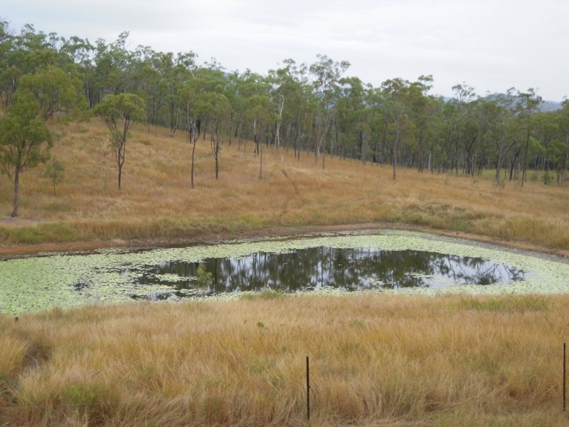 225 Mogilno Road, Midgee QLD 4702