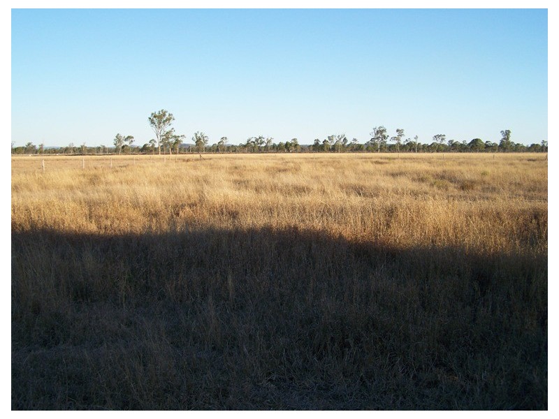 46 Hughes Road, Alton Downs QLD 4702