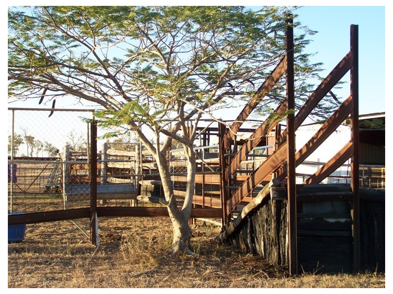 46 Hughes Road, Alton Downs QLD 4702