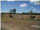 Lot 70 burnett highway, Bouldercombe QLD 4702