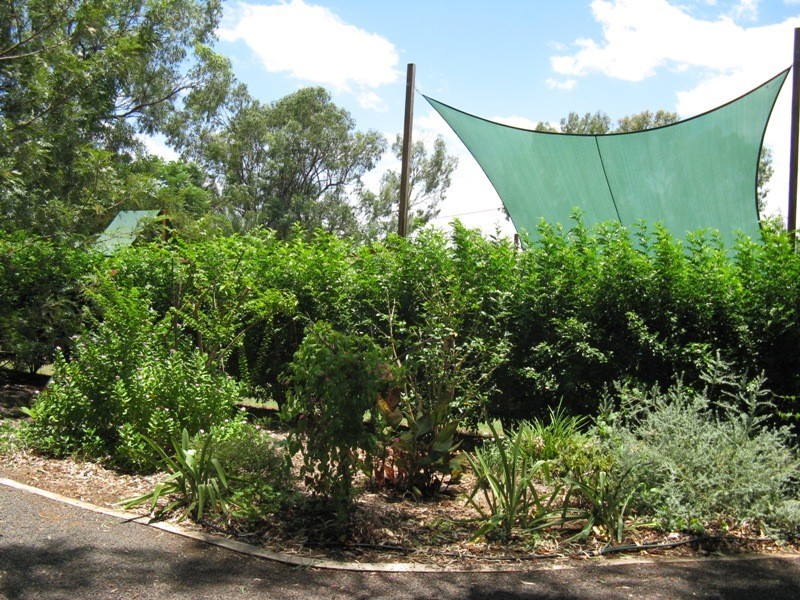 9 Alice Street, Duaringa QLD 4712