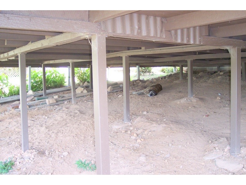 10-12 North Street, Mount Morgan QLD 4714