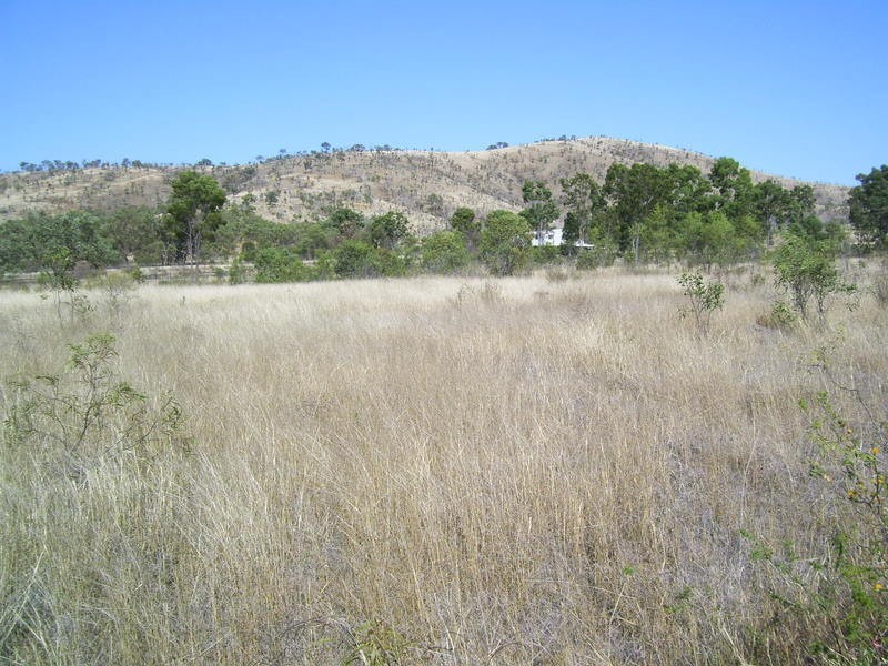 205 Nelson Road, Westwood QLD 4702