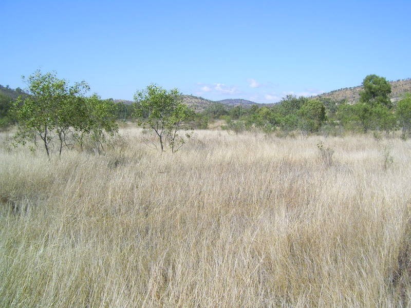 205 Nelson Road, Westwood QLD 4702