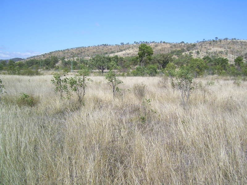 205 Nelson Road, Westwood QLD 4702