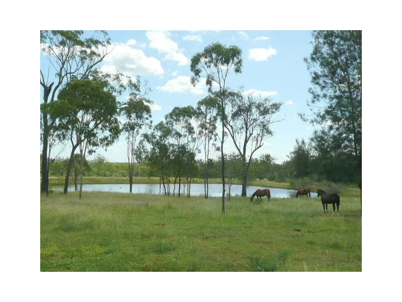 98 Black Gin Creek Road, Alton Downs QLD 4702