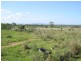 Marmor QLD 4702
