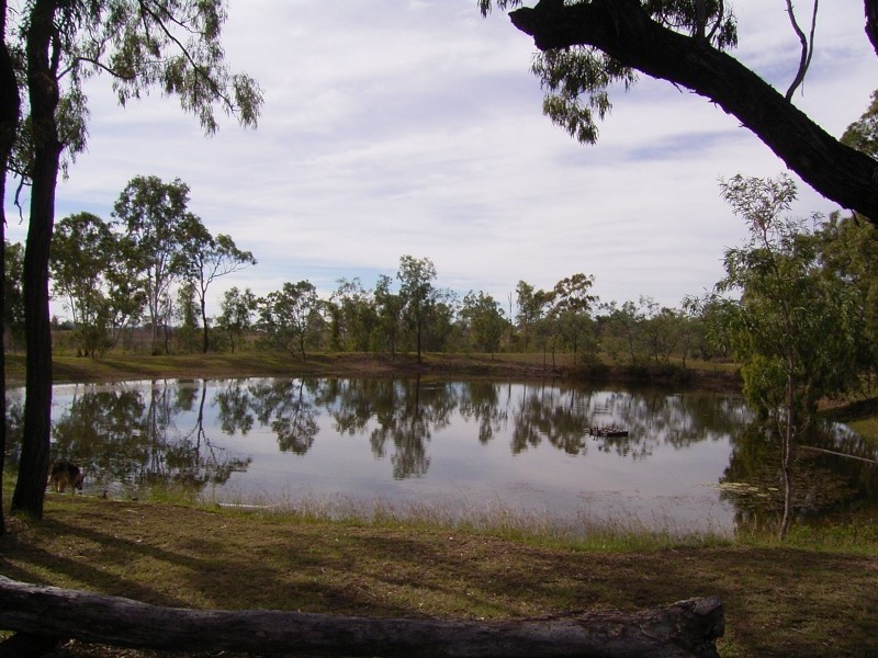 Alton Downs QLD 4702