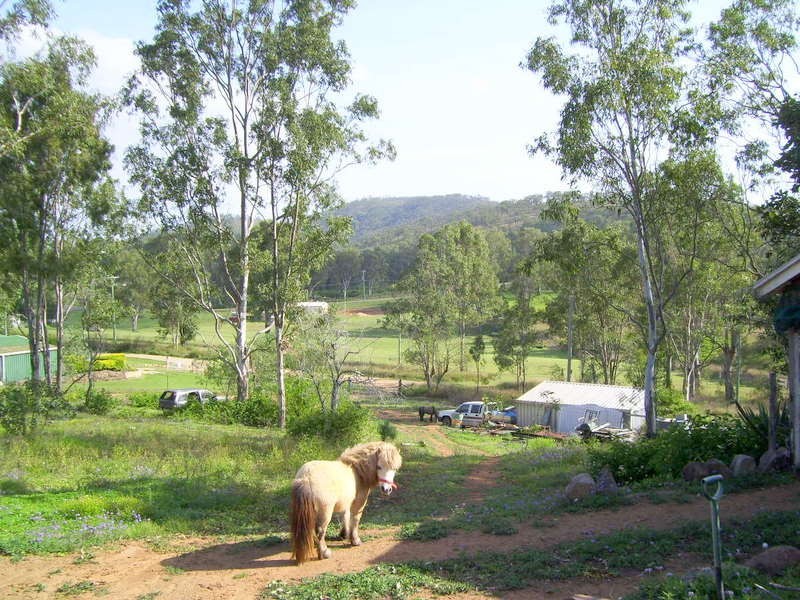 6 Hamilton Avenue, Hamilton Creek QLD 4714