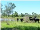 Stanwell QLD 4702