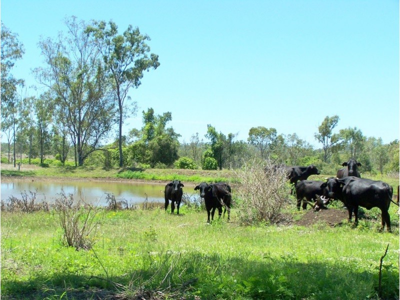 Stanwell QLD 4702