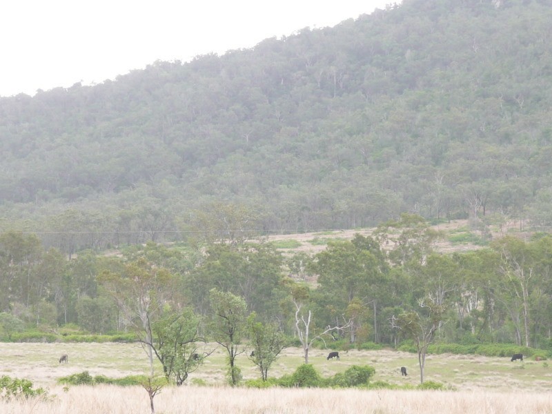Stanwell QLD 4702