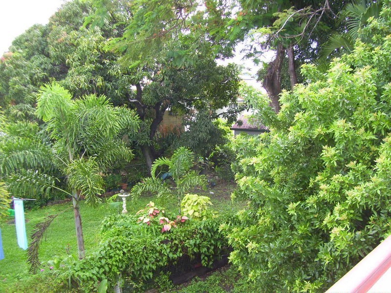 39  Davis Street, Allenstown QLD 4700