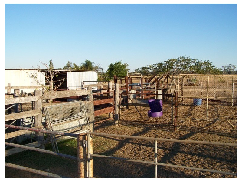 46 HUGHES ROAD, Alton Downs QLD 4702