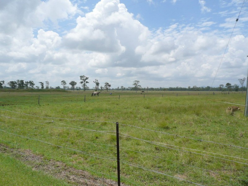 46 HUGHES ROAD, Alton Downs QLD 4702