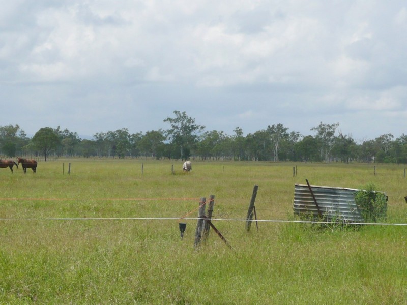 46 HUGHES ROAD, Alton Downs QLD 4702