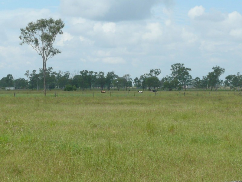 46 HUGHES ROAD, Alton Downs QLD 4702