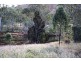 Mount Morgan QLD 4714