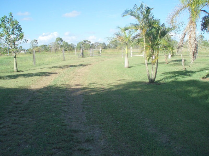 61 Scott Road, Alton Downs QLD 4702