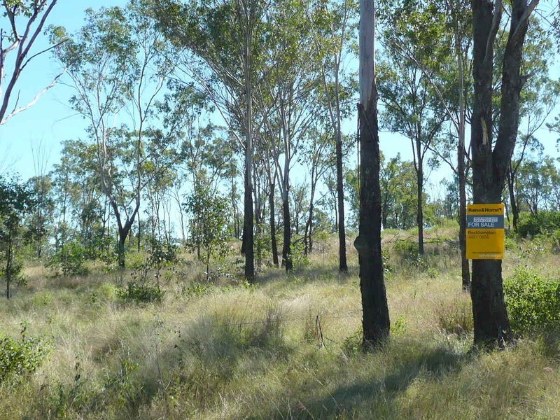 Mount Larcom QLD 4695