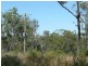 Mount Larcom QLD 4695
