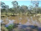 Mount Larcom QLD 4695