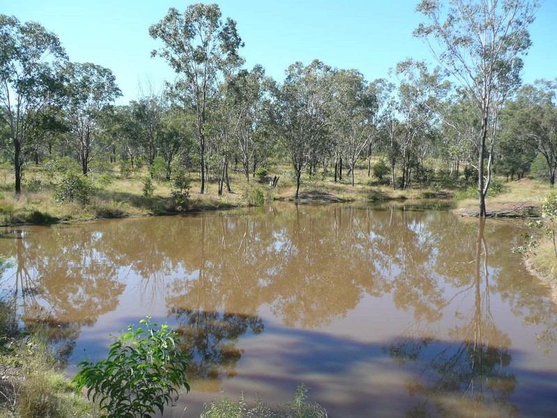 Mount Larcom QLD 4695