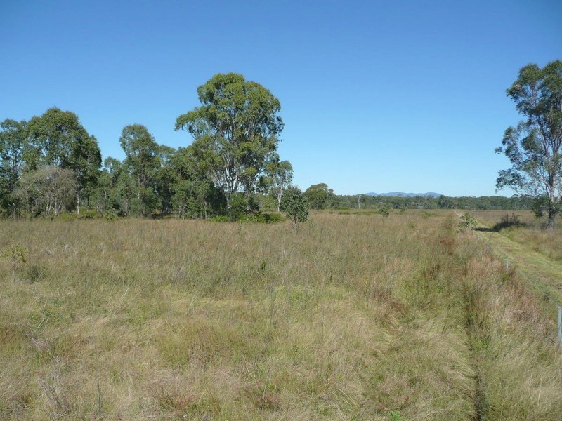Mount Larcom QLD 4695