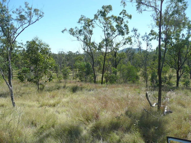 Mount Larcom QLD 4695