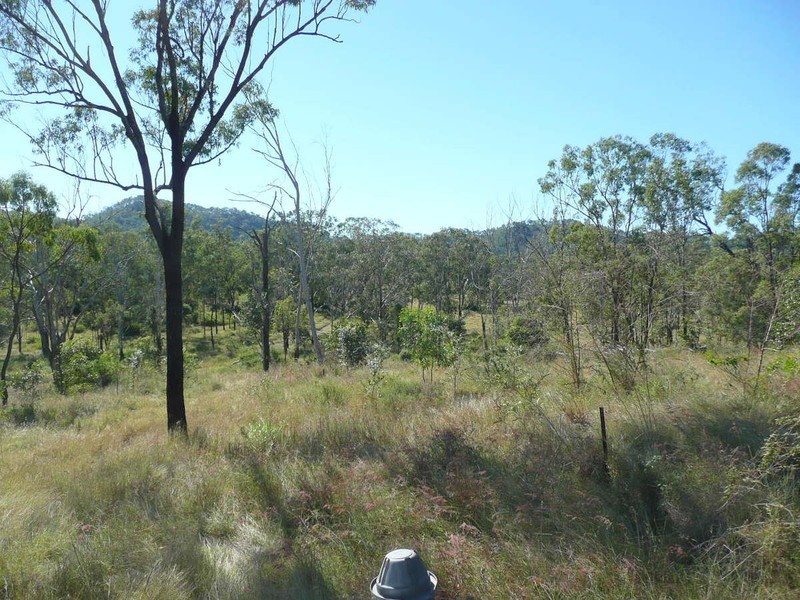 Mount Larcom QLD 4695