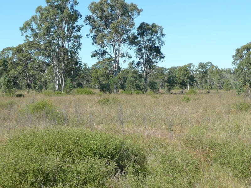 Mount Larcom QLD 4695