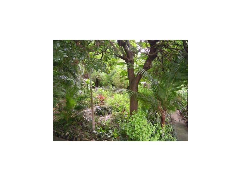 16 River Street, Mount Morgan QLD 4714