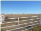 1203 Ridgelands Road, Alton Downs QLD 4702