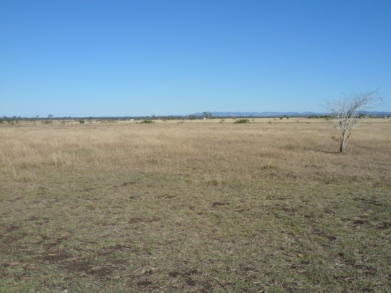 1203 Ridgelands Road, Alton Downs QLD 4702