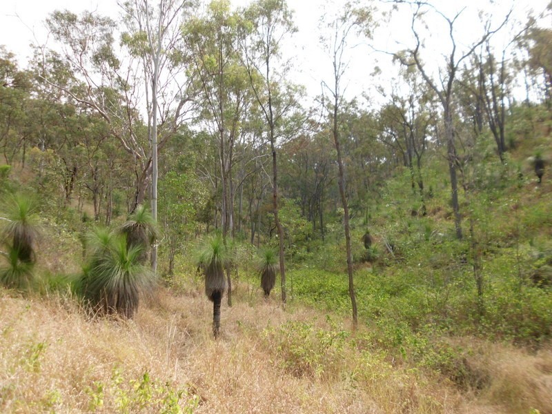 0 Smalls Road, Mount Morgan QLD 4714