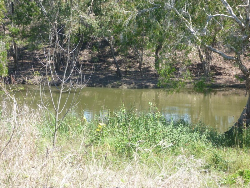 190  Lion Creek Road, Wandal QLD 4700