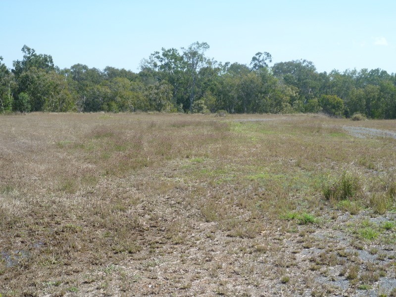 190  Lion Creek Road, Wandal QLD 4700